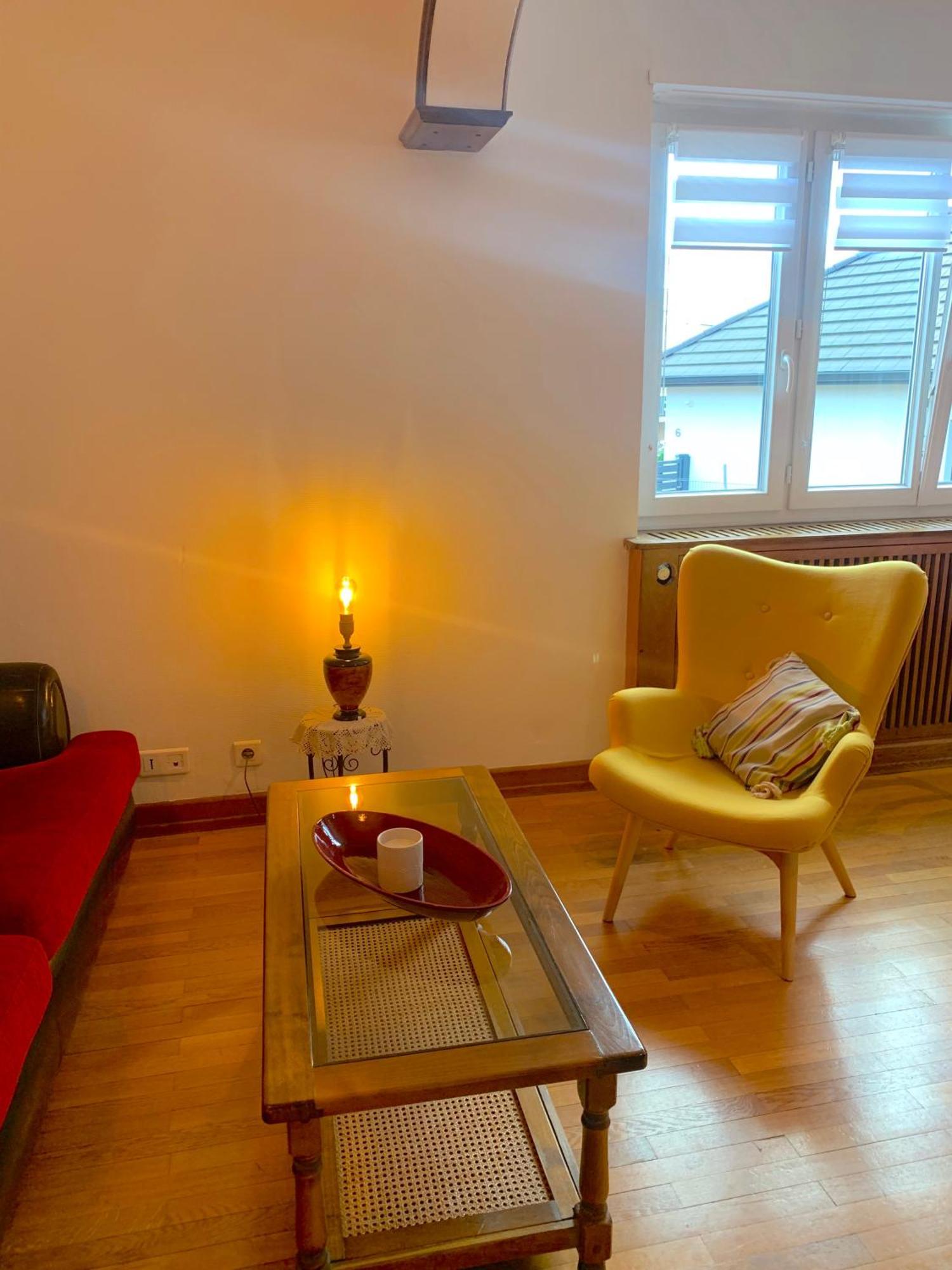 Gite City Relax, Entre Nature Et Centre-Ville Colmar Bagian luar foto